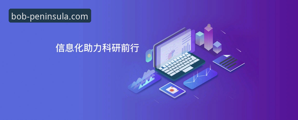 bob半岛在线必备 vs 传统体育平台：谁更懂用户需求？全面对比分析