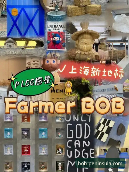 bob半岛iOS版选择完整指南：从入口到体验的全方位解析